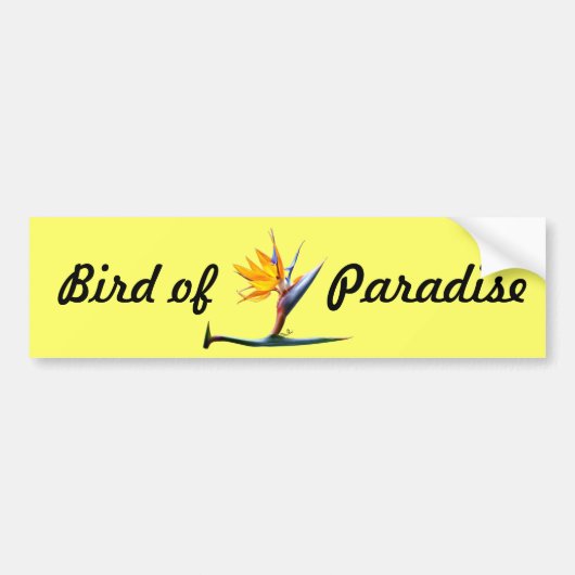 Autocollant De Voiture Oiseau du paradis (Devant)