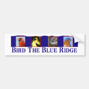 Autocollant De Voiture Oiseau le Ridge bleu