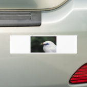 Autocollant De Voiture Oiseaux (En voiture)