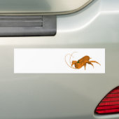 Autocollant De Voiture Orange Cockroach (En voiture)