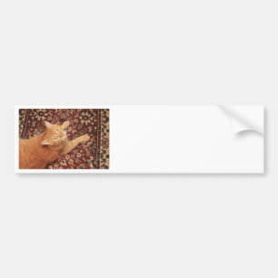 Autocollant De Voiture Orange Tabby