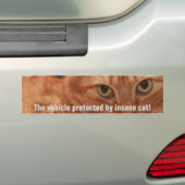 Autocollant De Voiture Orange Tabby (En voiture)