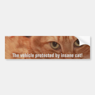 Autocollant De Voiture Orange Tabby
