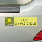 Autocollant De Voiture Orchard Oriole - Photo originale (En voiture)