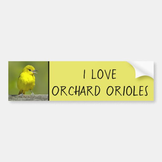 Autocollant De Voiture Orchard Oriole - Photo originale (Devant)