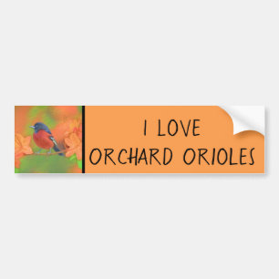 Autocollant De Voiture Orchard Oriole Songbird Peinture Oiseau original