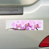 Autocollant De Voiture orchidée (En voiture)