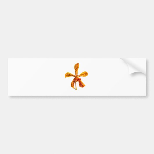 Autocollant De Voiture Orchidée jaune (Devant)