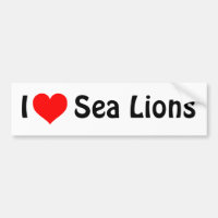 Otaries du coeur I