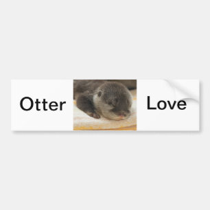 Autocollant De Voiture Otter endormi
