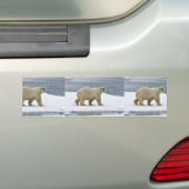 Autocollant De Voiture Ours blanc (En voiture)