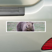 Autocollant De Voiture Ours gris (En voiture)