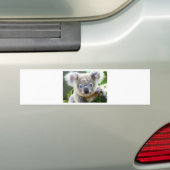 Autocollant De Voiture Ours Koala (En voiture)