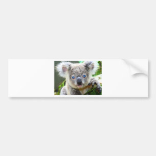 Autocollant De Voiture Ours Koala