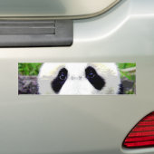 Autocollant De Voiture Ours Panda (En voiture)
