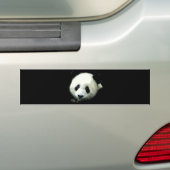 Autocollant De Voiture Ours Panda (En voiture)