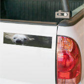 Autocollant De Voiture Ours polaire (Sur camion)