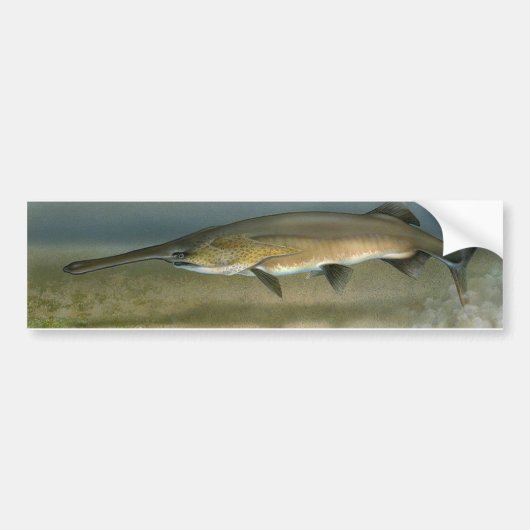 Autocollant De Voiture Paddlefish (Devant)