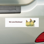 Autocollant De Voiture Paire Brahma Buff (En voiture)