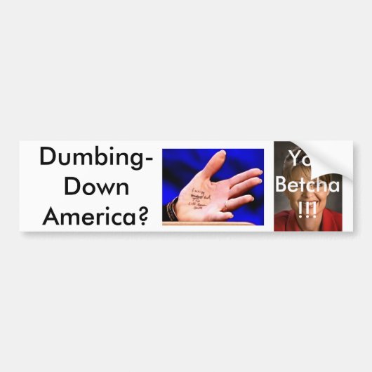 Autocollant De Voiture Palin3 (Devant)