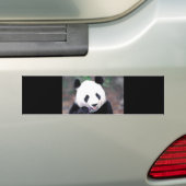 Autocollant De Voiture Panda (En voiture)