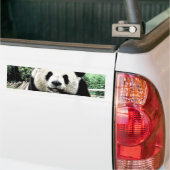 Autocollant De Voiture Panda (Sur camion)