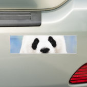 Autocollant De Voiture Panda (En voiture)
