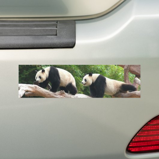 Autocollant De Voiture Panda géant dans un zoo d'animaux sauvages photogr (En voiture)