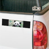 Autocollant De Voiture Panda mangeant des feuilles (Sur camion)