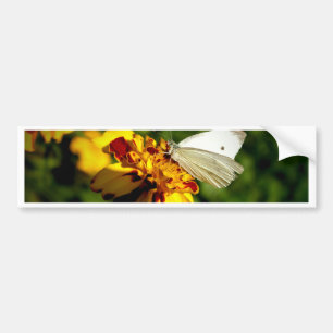Autocollant De Voiture Papillon blanc étonnant sur Fleur jaune et rouge
