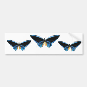 Autocollant De Voiture Papillon de Birdwing