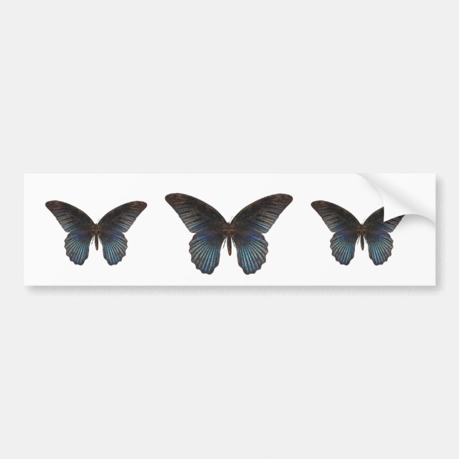 Autocollant De Voiture Papillon de BlueSwallowTail (Devant)