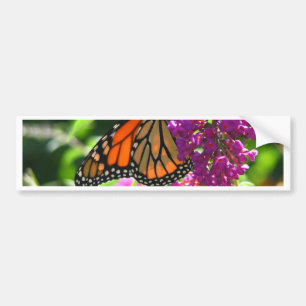 Autocollant De Voiture Papillon de monarque