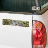 Autocollant De Voiture Papillons (Sur camion)