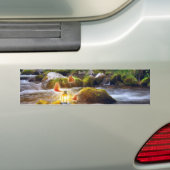Autocollant De Voiture Papillons (En voiture)