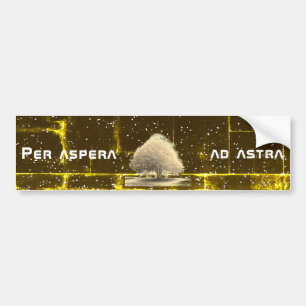 Autocollant De Voiture Par aspera ad astra