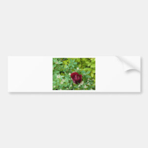 Autocollant De Voiture parterre de fleurs au printemps