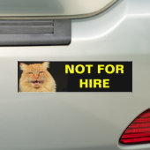 Autocollant De Voiture Pas de location (Citrouille) (En voiture)