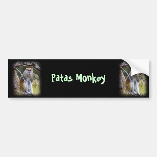 Autocollant De Voiture Patas Monkey (Devant)