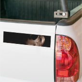 Autocollant De Voiture Pause coupe libre (Sur camion)