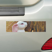 Autocollant De Voiture Pays Lapin de Pâques (En voiture)