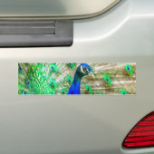 Autocollant De Voiture Peacock Plumage (En voiture)