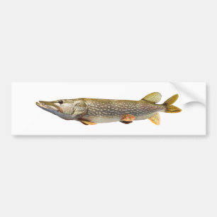 Autocollant De Voiture Pêche de Pike Muski