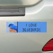 Autocollant De Voiture Peinture Bluebird - Art original pour oiseaux (En voiture)