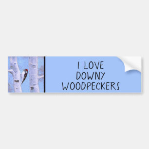 Autocollant De Voiture Peinture Downy Woodpecker - Art original pour oise
