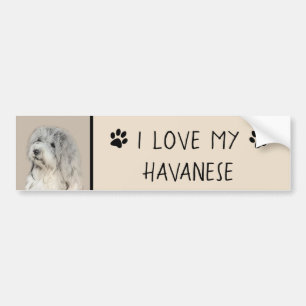 Autocollant De Voiture Peinture Havanaise (Gold Sable) - Art Chien origin