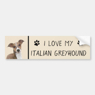 Autocollant De Voiture Peinture italienne Greyhound - Cute Original Chien