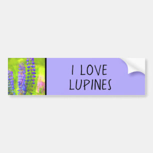 Autocollant De Voiture Peinture Lupine - Art Fleur Original