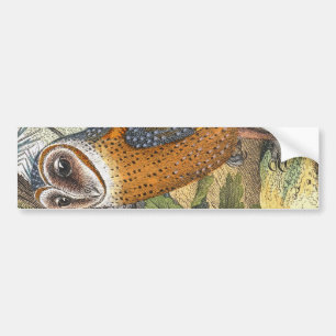 Autocollant De Voiture Peinture vintage de hibou de grange