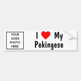 Autocollant De Voiture Pekingese